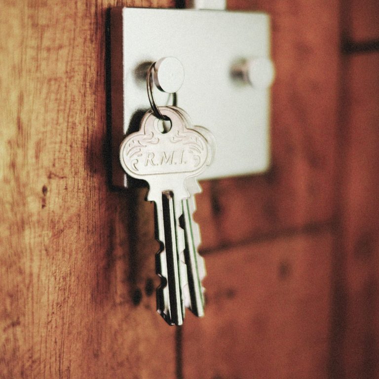 pexels-alexeydemidov-12496893